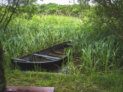 Idyllischer Blick auf das Nolde-Boot in der Schmale, umgeben von Schilf.