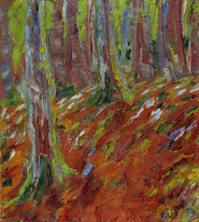 Dicht stehende Baumst&auml;mme auf braun-gr&uuml;nem Waldboden, dazwischen ein hellgr&uuml;ner Hintergrund.