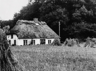 Reetgedecktes Haus mit Wald im Hintergrund und Heudiemen im Vordergrund.