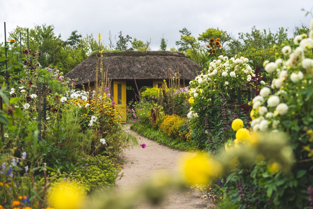 Noldes Garten &ndash; Ein Paradies