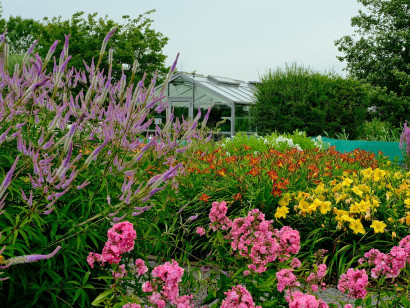 Bl&uuml;hende Pflanzen im Mutterpflanzquartier mit dem Botanicum im Hintergrund des Nolde Museums Seeb&uuml;ll.