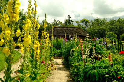 Blick auf das Seeb&uuml;llchen, teilweise verdeckt von hohen Pflanzen wie gelben K&ouml;nigskerzen und verschiedenfarbige Lupinen und Fingerh&uuml;ten, an einem sonnigen Juni-Tag mit leicht bew&ouml;lktem Himmel.