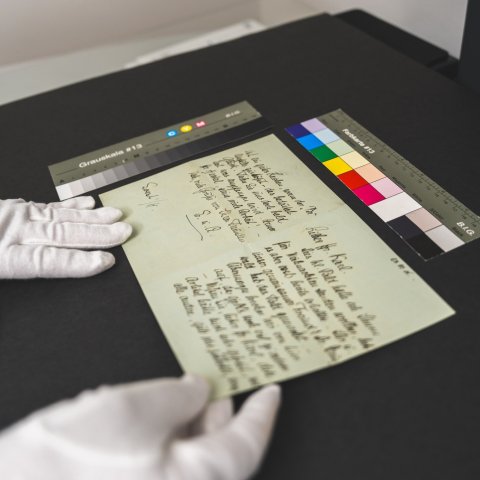 INDBLIK I SAMLING, ARV OG FORSKNING